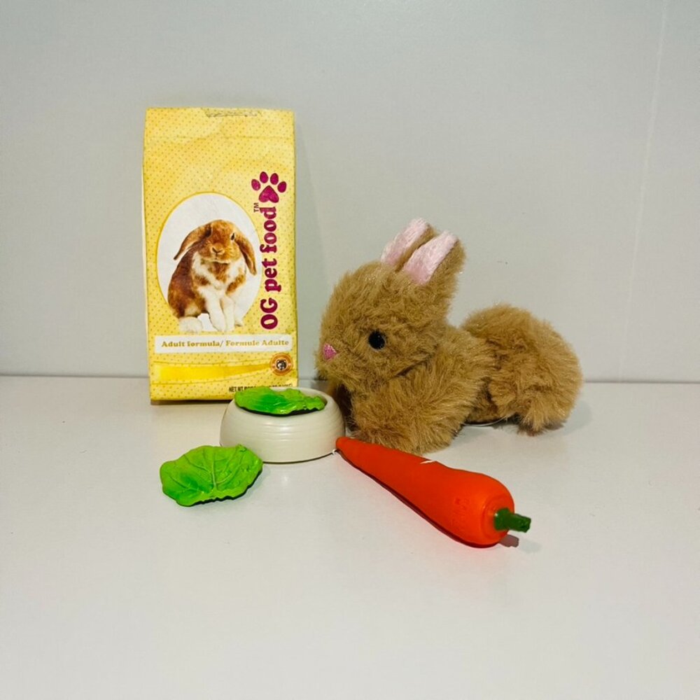 Our Generation Mini Plush Pet Bunny Set for 18" Dolls